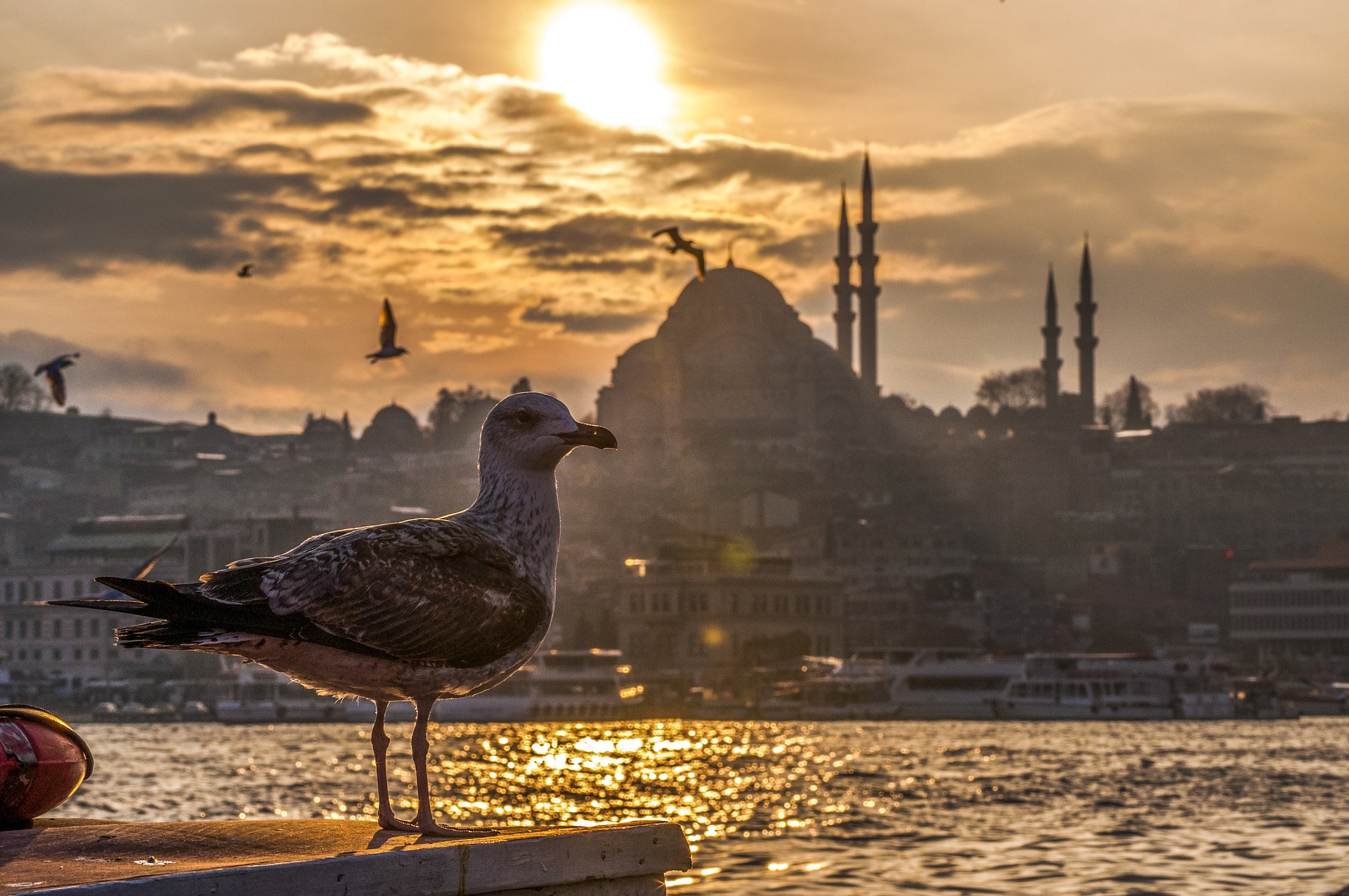 Sepers CS – Expert in Turks recht. Neem contact op: juridisch advies, volmachten Turkije of hulp bij het starten van een bedrijf in Turkije